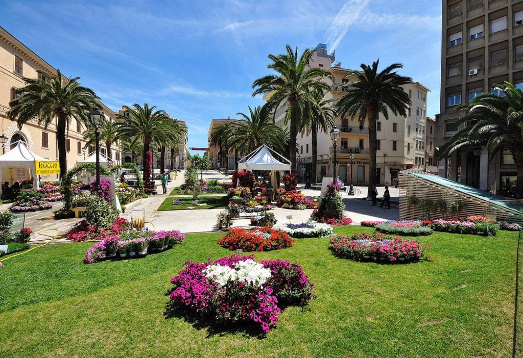 Ng * Sassari